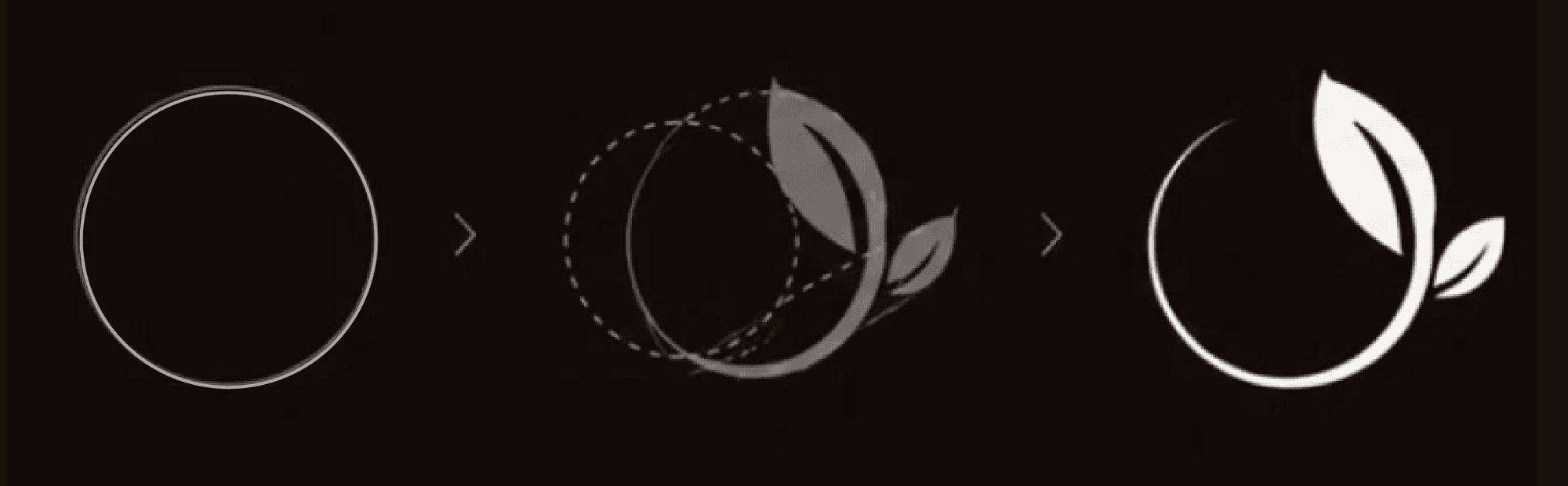 Logo construction: circle, guides with leaf, final mark