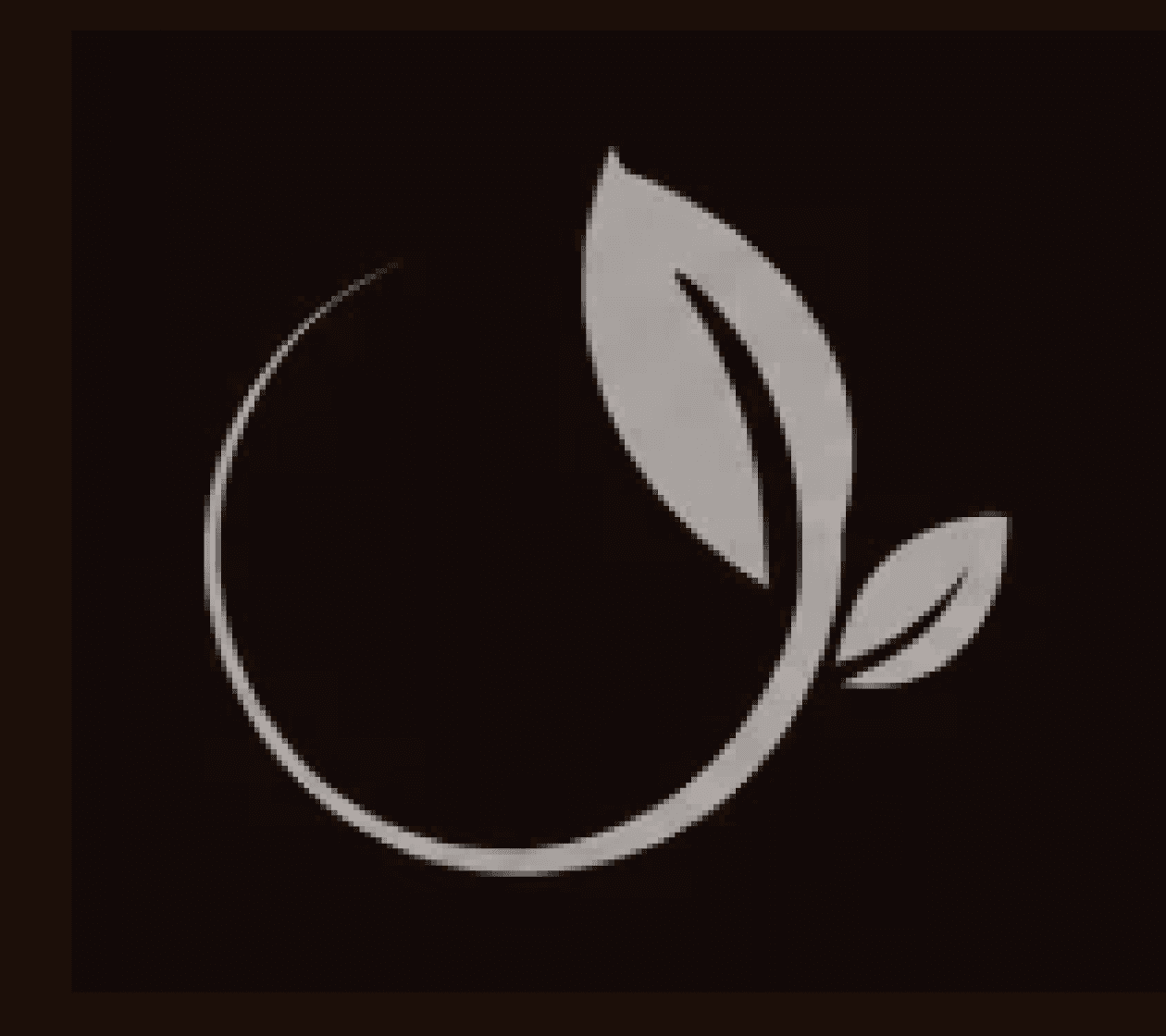 SAYE logo mark